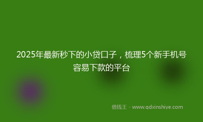 2025年最新秒下的小贷口子，梳理5个新手机号容易下款的平台