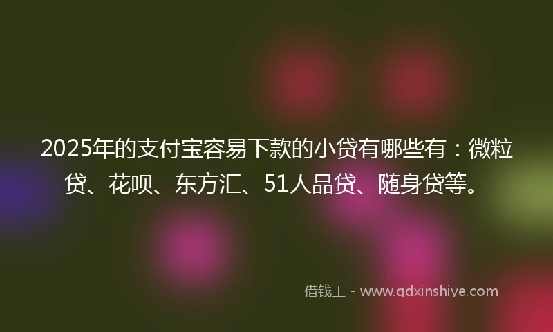 2025年的支付宝容易下款的小贷有哪些有：微粒贷、花呗、东方汇、51人品贷、随身贷等。