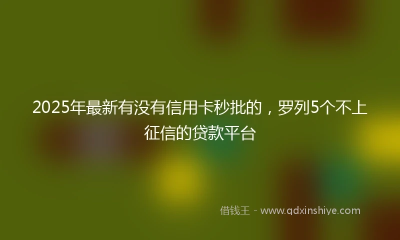 2025年最新有没有信用卡秒批的，罗列5个不上征信的贷款平台