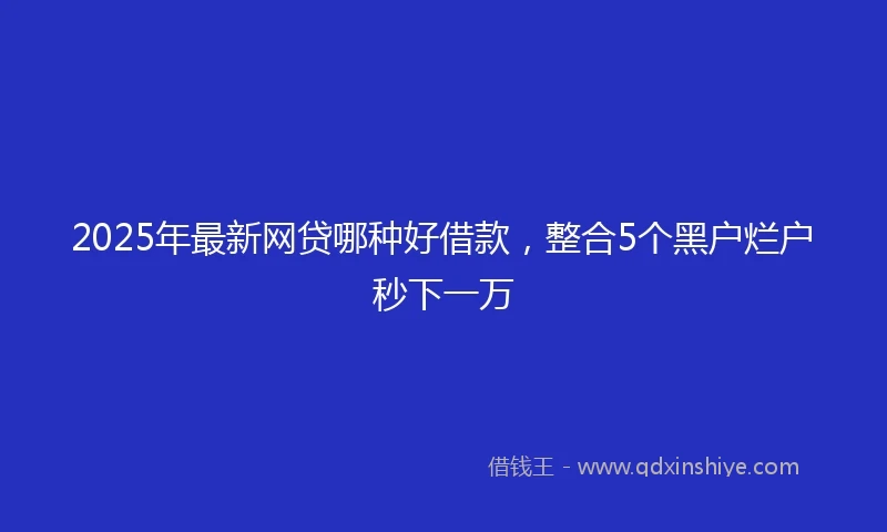 2025年最新网贷哪种好借款，整合5个黑户烂户秒下一万