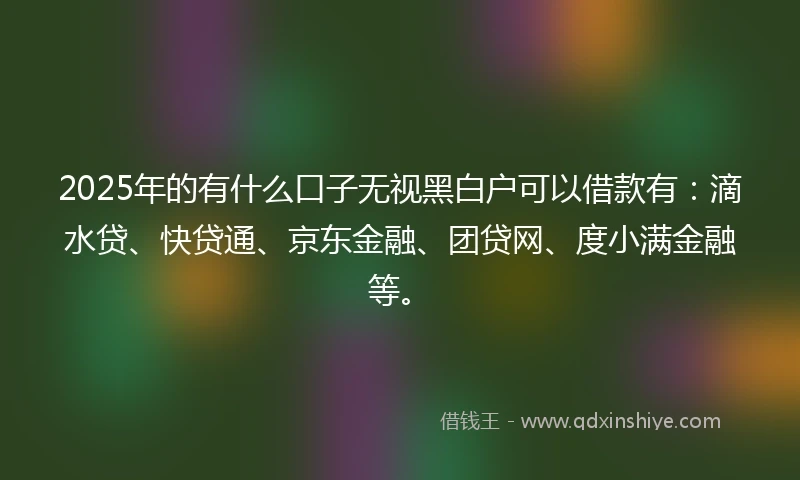 2025年的有什么口子无视黑白户可以借款有：滴水贷、快贷通、京东金融、团贷网、度小满金融等。