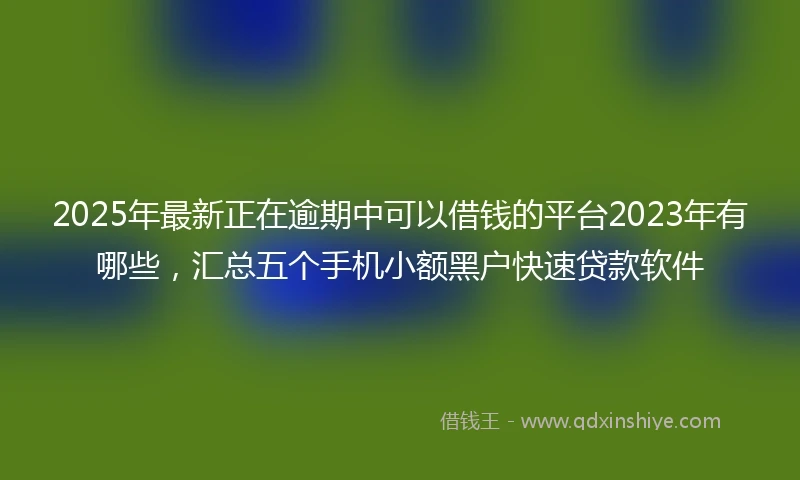 2025年最新正在逾期中可以借钱的平台2023年有哪些，汇总五个手机小额黑户快速贷款软件
