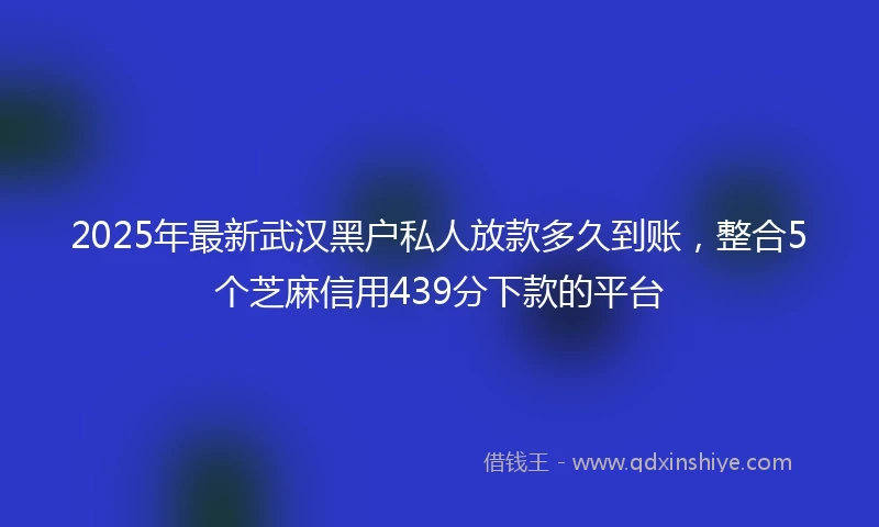 2025年最新武汉黑户私人放款多久到账，整合5个芝麻信用439分下款的平台
