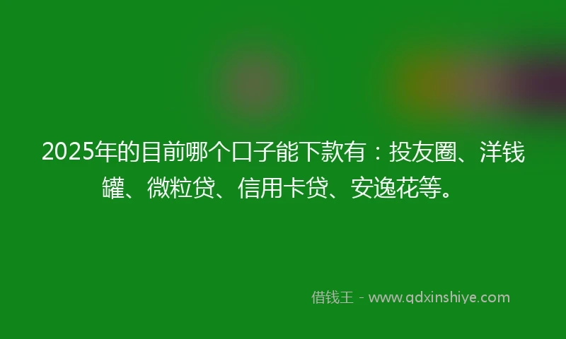 2025年的目前哪个口子能下款有：投友圈、洋钱罐、微粒贷、信用卡贷、安逸花等。