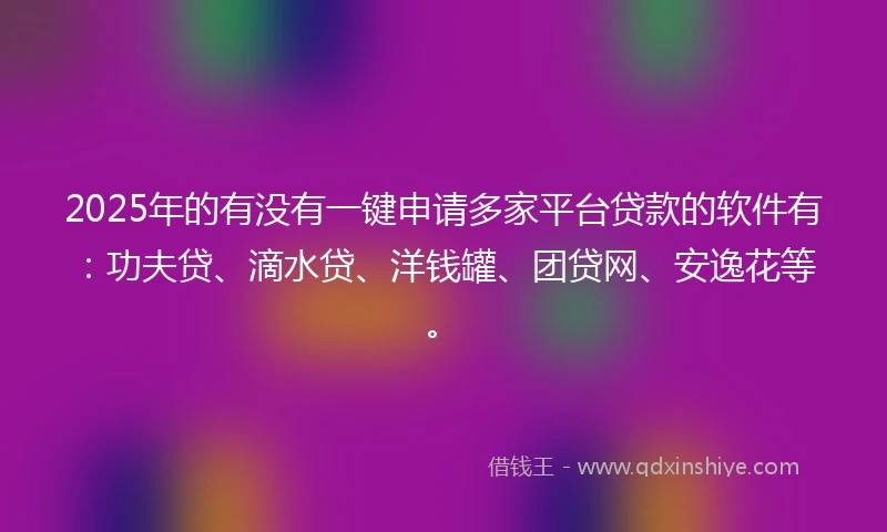 2025年的有没有一键申请多家平台贷款的软件有：功夫贷、滴水贷、洋钱罐、团贷网、安逸花等。