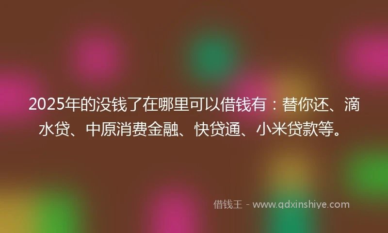 2025年的没钱了在哪里可以借钱有：替你还、滴水贷、中原消费金融、快贷通、小米贷款等。