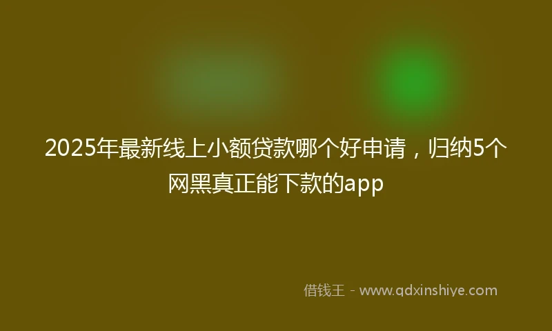 2025年最新线上小额贷款哪个好申请，归纳5个网黑真正能下款的app