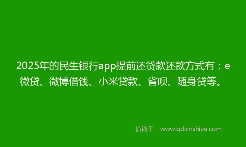 2025年的民生银行app提前还贷款还款方式有：e微贷、微博借钱、小米贷款、省呗、随身贷等。