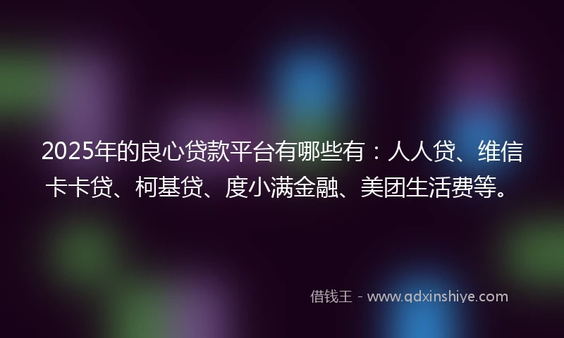 2025年的良心贷款平台有哪些有：人人贷、维信卡卡贷、柯基贷、度小满金融、美团生活费等。