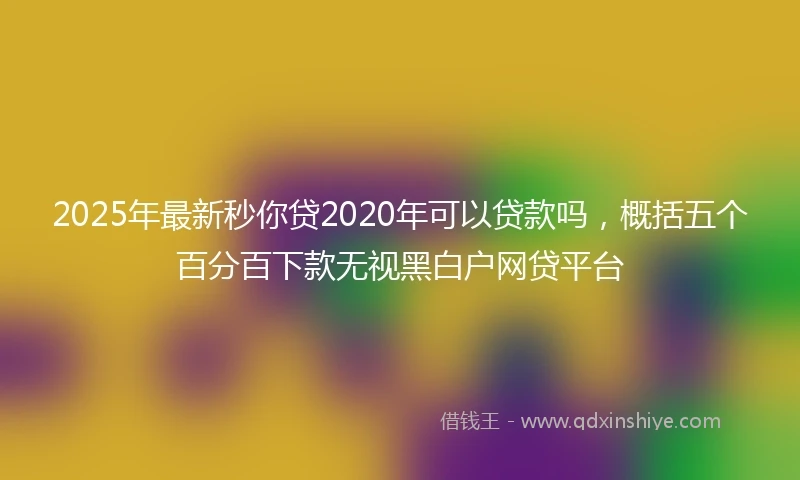 2025年最新秒你贷2020年可以贷款吗，概括五个百分百下款无视黑白户网贷平台