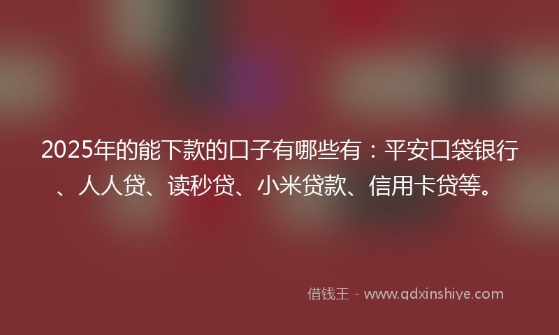 2025年的能下款的口子有哪些有：平安口袋银行、人人贷、读秒贷、小米贷款、信用卡贷等。