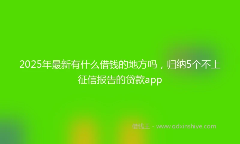 2025年最新有什么借钱的地方吗，归纳5个不上征信报告的贷款app