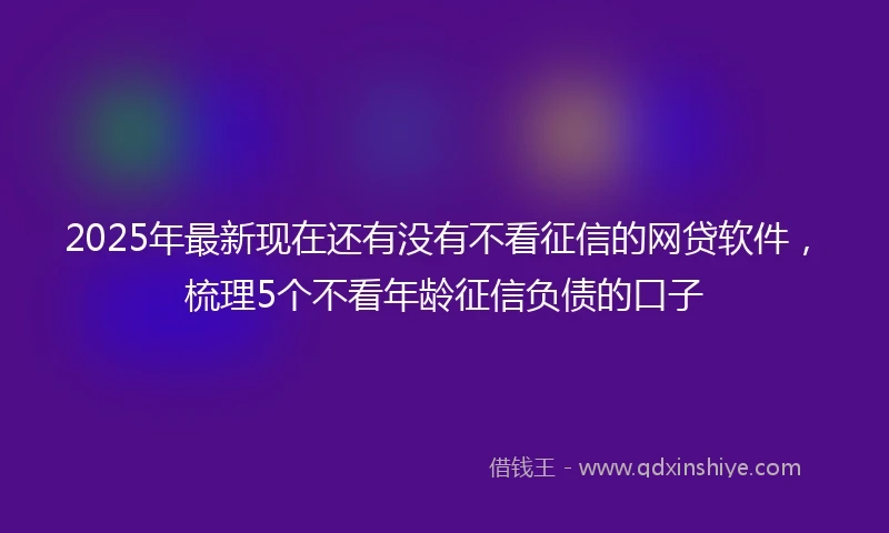 2025年最新现在还有没有不看征信的网贷软件，梳理5个不看年龄征信负债的口子