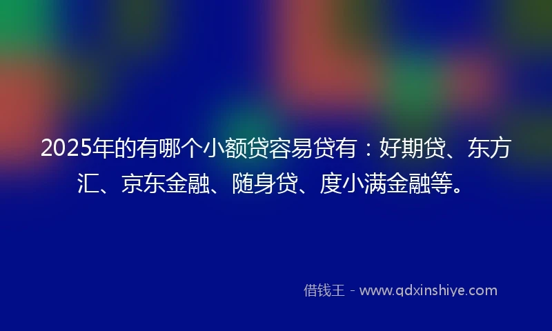 2025年的有哪个小额贷容易贷有：好期贷、东方汇、京东金融、随身贷、度小满金融等。