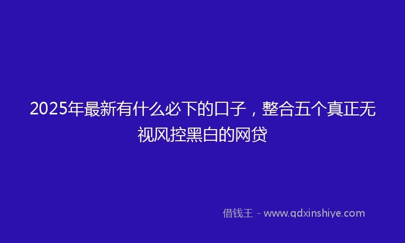2025年最新有什么必下的口子，整合五个真正无视风控黑白的网贷