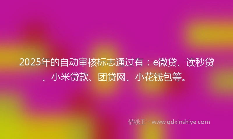 2025年的自动审核标志通过有：e微贷、读秒贷、小米贷款、团贷网、小花钱包等。