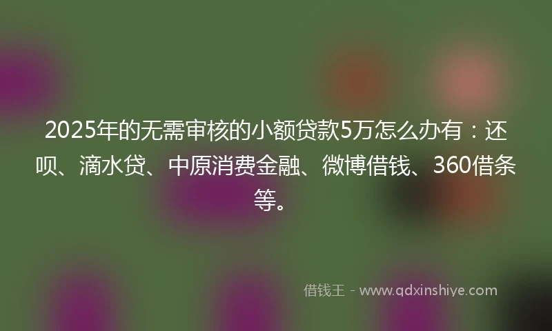 2025年的无需审核的小额贷款5万怎么办有：还呗、滴水贷、中原消费金融、微博借钱、360借条等。