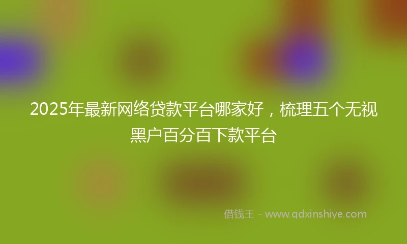 2025年最新网络贷款平台哪家好，梳理五个无视黑户百分百下款平台