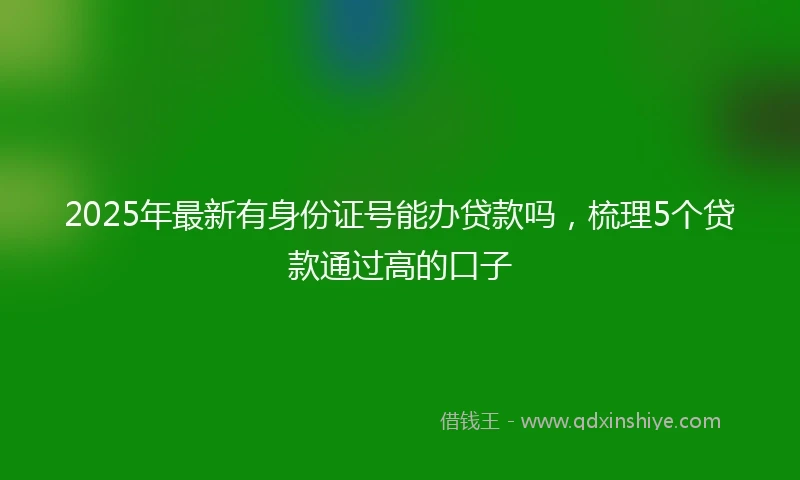 2025年最新有身份证号能办贷款吗，梳理5个贷款通过高的口子