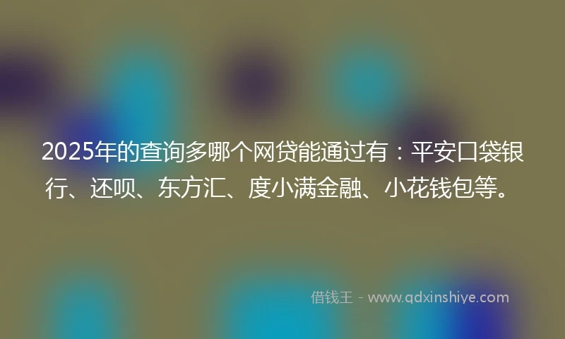 2025年的查询多哪个网贷能通过有：平安口袋银行、还呗、东方汇、度小满金融、小花钱包等。