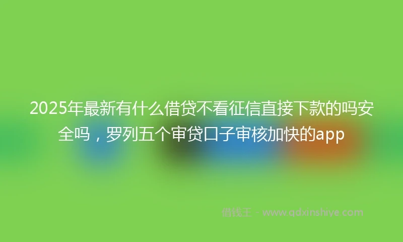 2025年最新有什么借贷不看征信直接下款的吗安全吗，罗列五个审贷口子审核加快的app