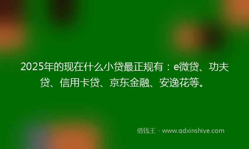 2025年的现在什么小贷最正规有：e微贷、功夫贷、信用卡贷、京东金融、安逸花等。