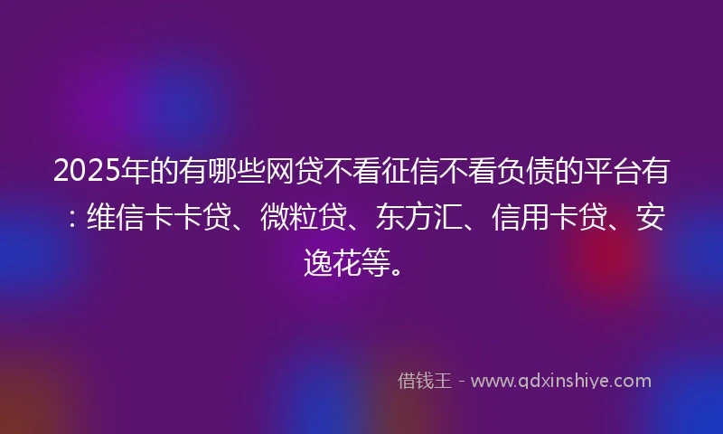 2025年的有哪些网贷不看征信不看负债的平台有：维信卡卡贷、微粒贷、东方汇、信用卡贷、安逸花等。