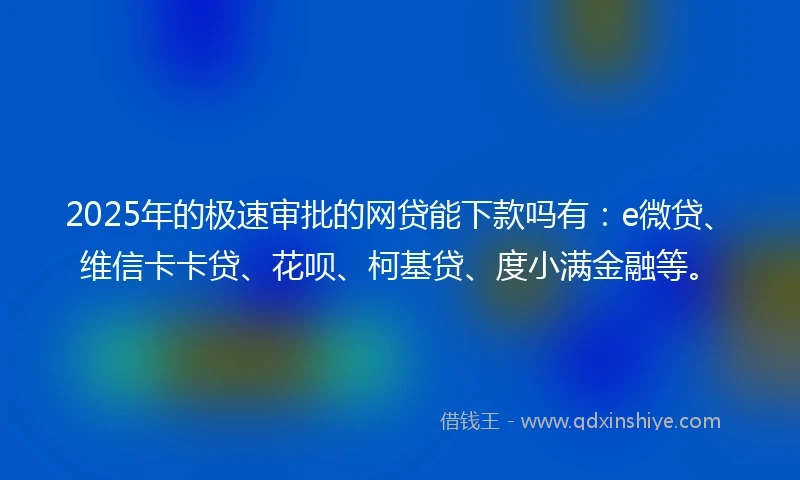 2025年的极速审批的网贷能下款吗有：e微贷、维信卡卡贷、花呗、柯基贷、度小满金融等。