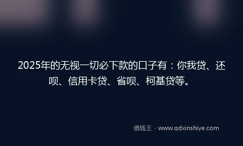 2025年的无视一切必下款的口子有：你我贷、还呗、信用卡贷、省呗、柯基贷等。