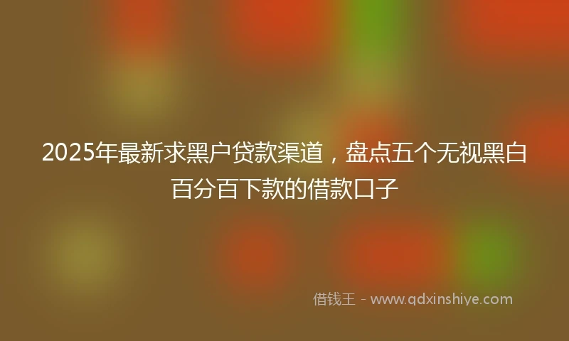 2025年最新求黑户贷款渠道，盘点五个无视黑白百分百下款的借款口子