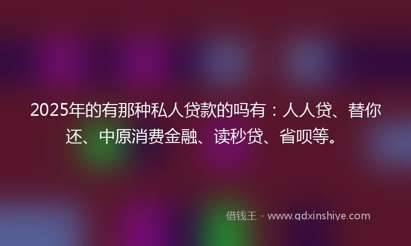 2025年的有那种私人贷款的吗有：人人贷、替你还、中原消费金融、读秒贷、省呗等。