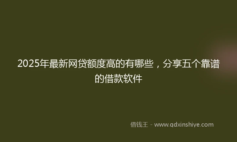 2025年最新网贷额度高的有哪些，分享五个靠谱的借款软件