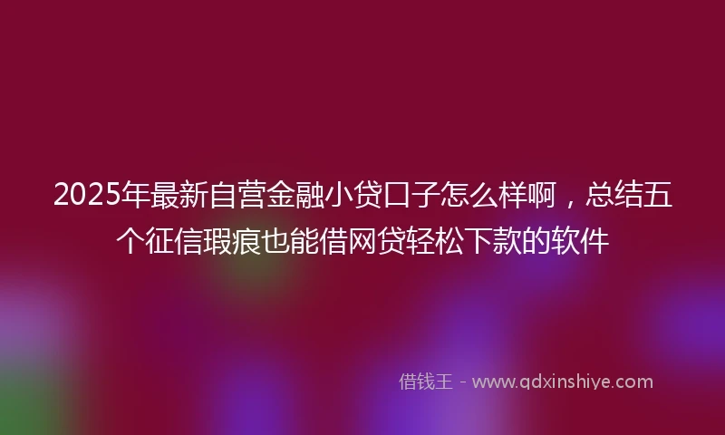 2025年最新自营金融小贷口子怎么样啊，总结五个征信瑕疵也能借网贷轻松下款的软件