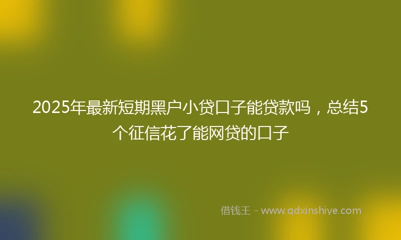 2025年最新短期黑户小贷口子能贷款吗，总结5个征信花了能网贷的口子