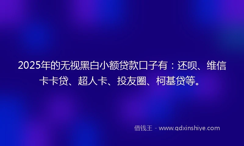 2025年的无视黑白小额贷款口子有：还呗、维信卡卡贷、超人卡、投友圈、柯基贷等。
