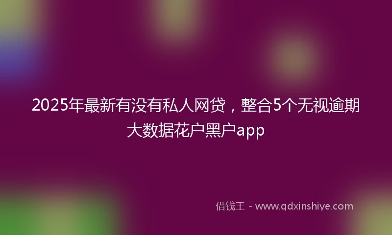 2025年最新有没有私人网贷，整合5个无视逾期大数据花户黑户app