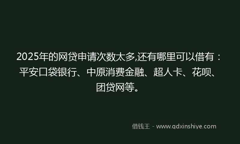 2025年的网贷申请次数太多,还有哪里可以借有：平安口袋银行、中原消费金融、超人卡、花呗、团贷网等。