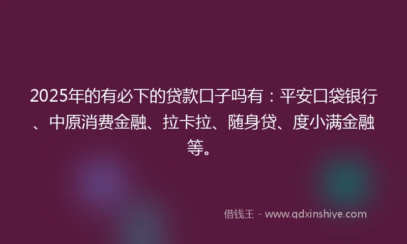 2025年的有必下的贷款口子吗有：平安口袋银行、中原消费金融、拉卡拉、随身贷、度小满金融等。