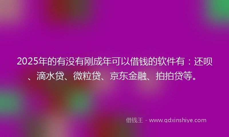 2025年的有没有刚成年可以借钱的软件有：还呗、滴水贷、微粒贷、京东金融、拍拍贷等。