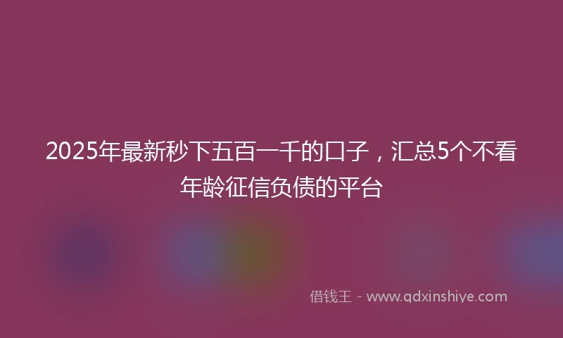 2025年最新秒下五百一千的口子，汇总5个不看年龄征信负债的平台