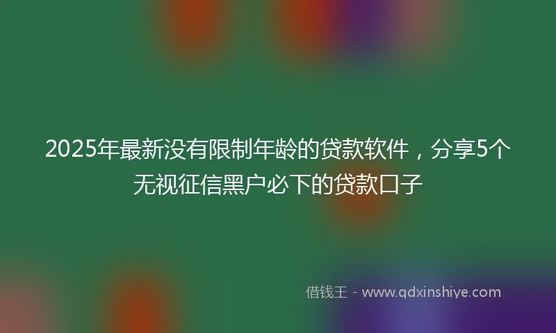 2025年最新没有限制年龄的贷款软件，分享5个无视征信黑户必下的贷款口子