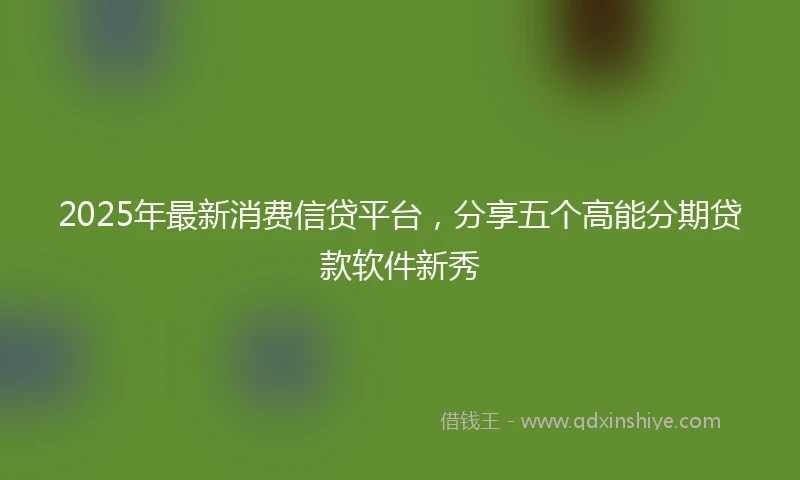 2025年最新消费信贷平台，分享五个高能分期贷款软件新秀