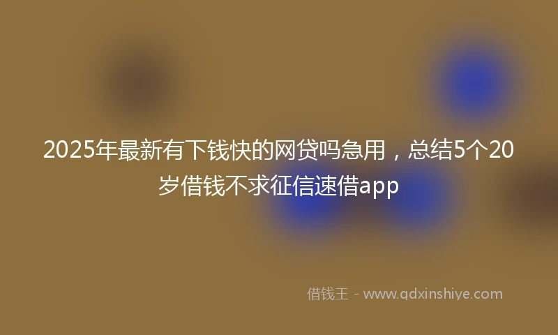 2025年最新有下钱快的网贷吗急用，总结5个20岁借钱不求征信速借app