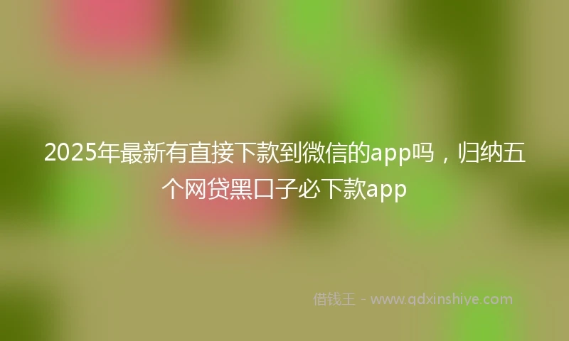 2025年最新有直接下款到微信的app吗，归纳五个网贷黑口子必下款app