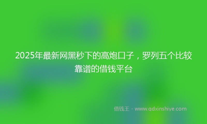 2025年最新网黑秒下的高炮口子，罗列五个比较靠谱的借钱平台