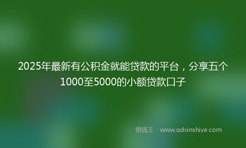 2025年最新有公积金就能贷款的平台，分享五个1000至5000的小额贷款口子
