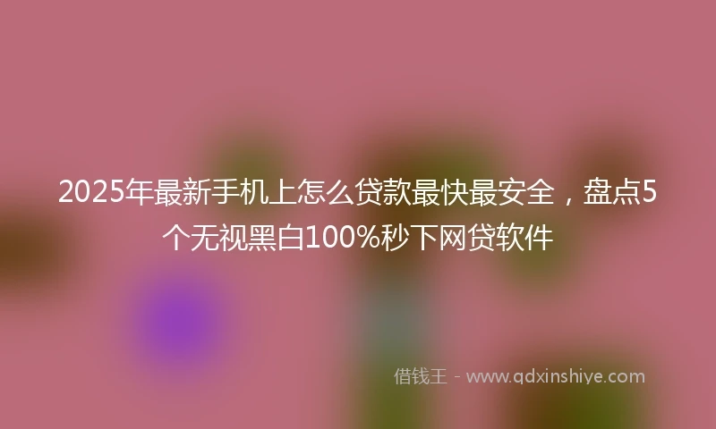 2025年最新手机上怎么贷款最快最安全，盘点5个无视黑白100%秒下网贷软件