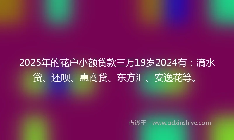 2025年的花户小额贷款三万19岁2024有：滴水贷、还呗、惠商贷、东方汇、安逸花等。