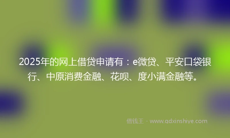 2025年的网上借贷申请有：e微贷、平安口袋银行、中原消费金融、花呗、度小满金融等。