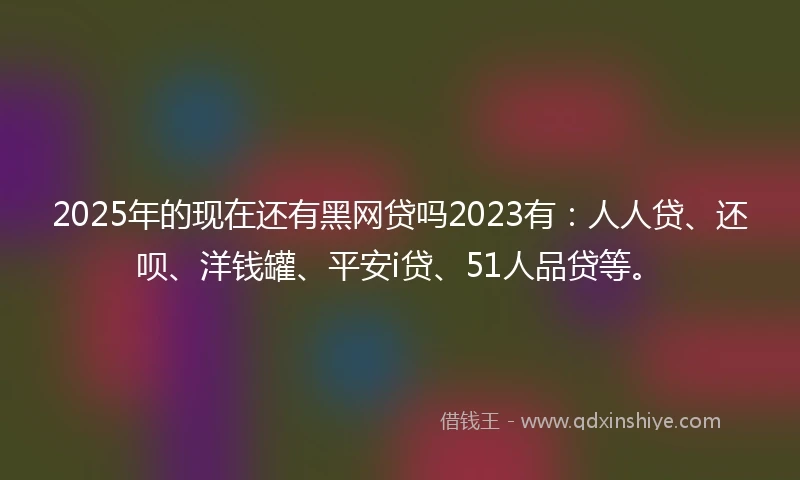 2025年的现在还有黑网贷吗2023有：人人贷、还呗、洋钱罐、平安i贷、51人品贷等。